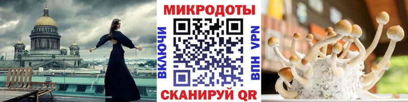 гидра маркетплейс  Пласт  Галлюциногенные грибы прущие грибы  наркота 