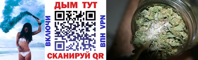 Конопля сатива  Пласт 
